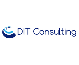 ditconsulting