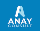 AnayСonsult